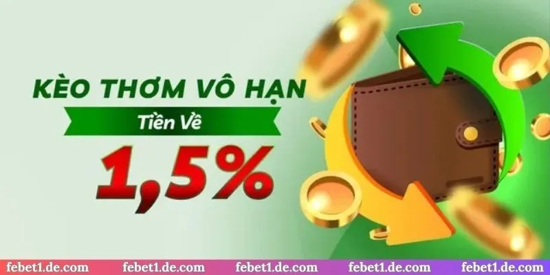 Hoàn trả 1.5